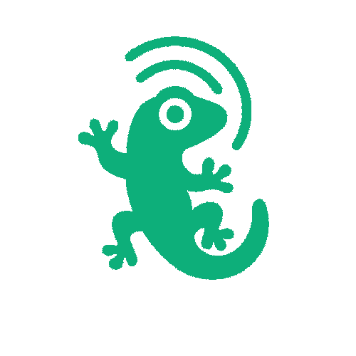 geckoagent.com.co favicon